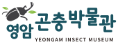 영암곤충박물관 LOGO